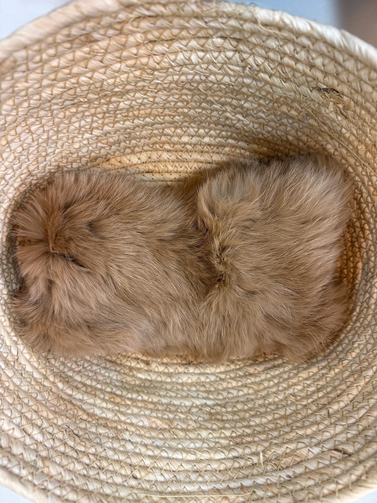 Cuello Cerrado Pequeño Natural