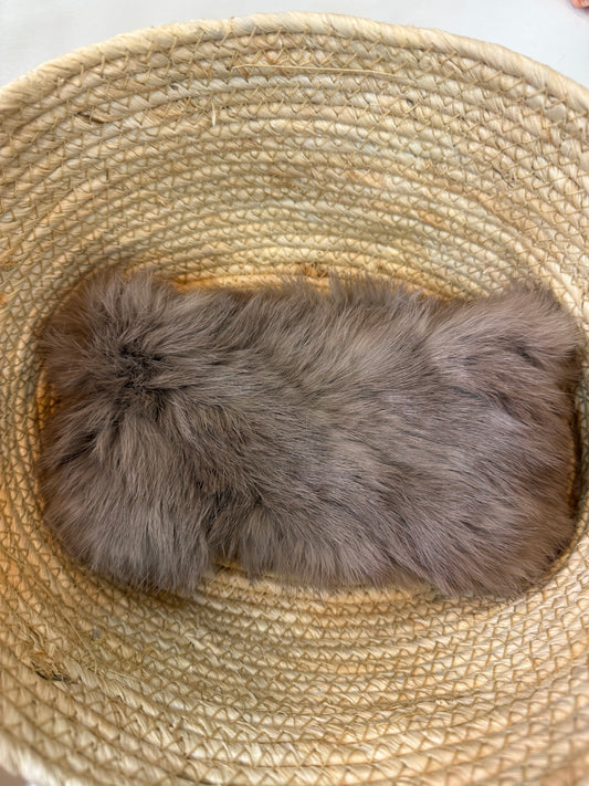 Cuello Cerrado Pequeño Topo